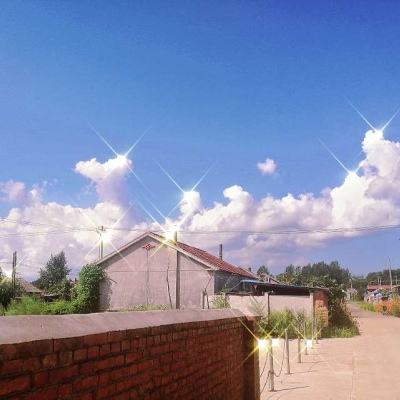 全民彩票app官网版下载截图